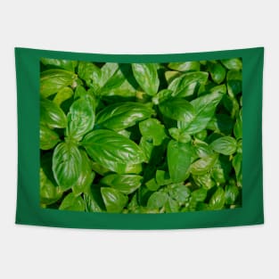 Basil Tapestry