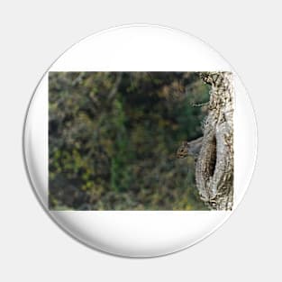 MOVEMENT IN THE WOODS Pin