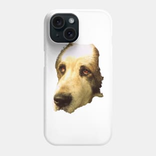 big sad dog Phone Case