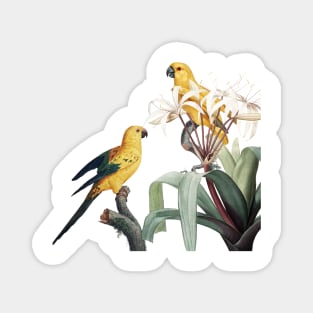 Parrot Bird Wildlife Painting Magnet