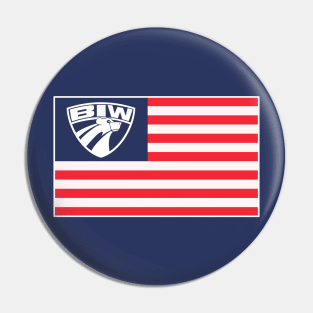 BIW USA Pin