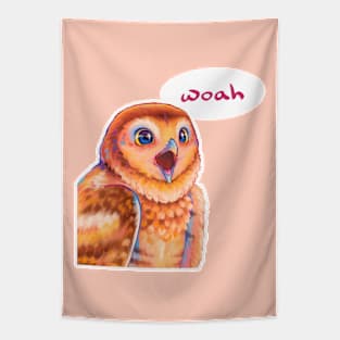 Woah Owl Tapestry