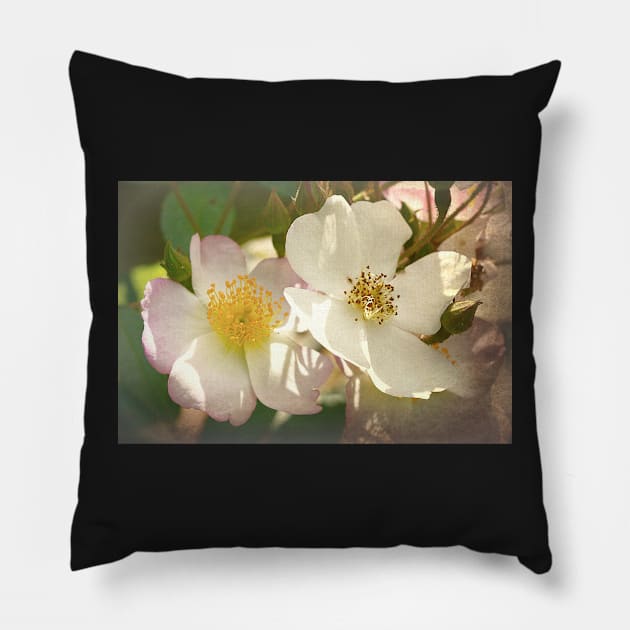 Just Call Us Dog Roses Pillow by AlexaZari