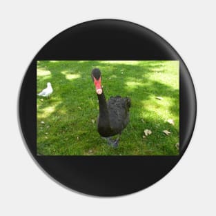 Black Swan Pin