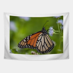 Butterfly Magic Tapestry