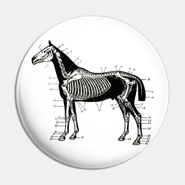 Horse Skeleton Drawing Pin by KnuckleTonic