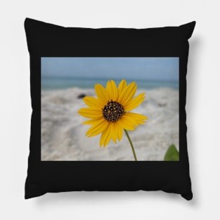 Yellow Flower in Sand 2 Pillow