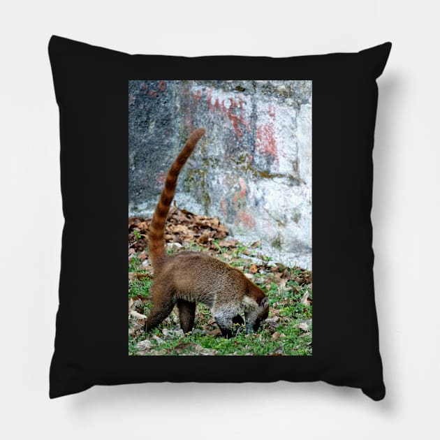 Guatemala - Site archéologique de Tikal, Animal Coatis Pillow by franck380