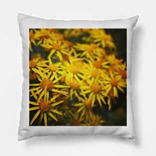 Yellow daisies Pillow