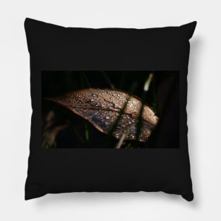 Water Droplets on a Leaf Pillow