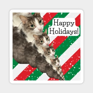 Happy Holidays Cat Magnet