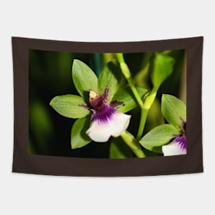 Zygopetalum Orchid Tapestry