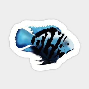 Polar Blue Cichlid Fish Magnet