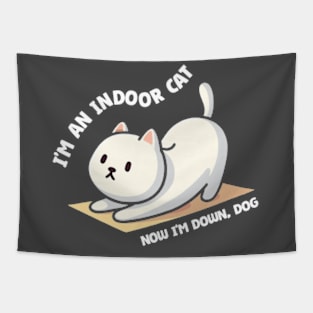 Indoor Cat - Lazy Cat Awesome Gift Tapestry