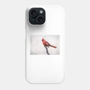 Male Northern Cardinal on a Snag Phone Case