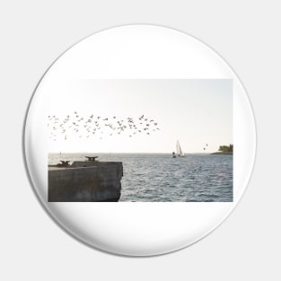 Key West Sea Gulls Pin