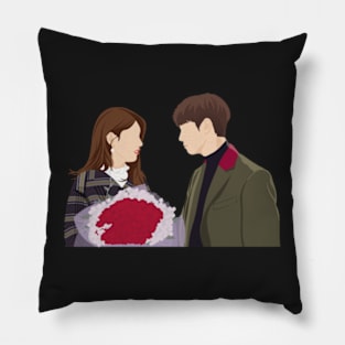 So I married an antifan Kdrama Pillow