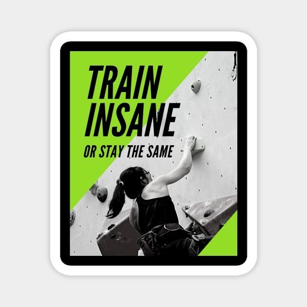 train insane Magnet by talisma