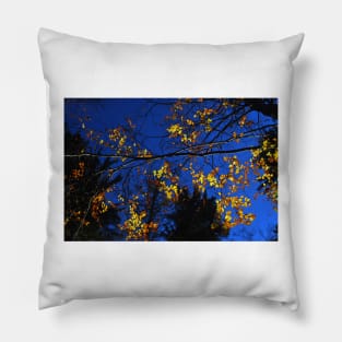 autumn colors Pillow