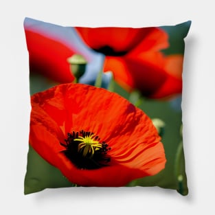 Close Up in a Field of Red Poppies (MD23Mrl009) Pillow