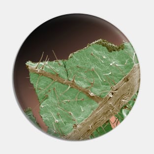 Extreme closeup detail Illustration of Stinging Nettle Pin