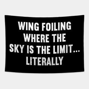 Wing Foiling Where the Sky is the Limit Literally Tapestry