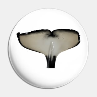 Male Orca Fluke (Ulises) Pin