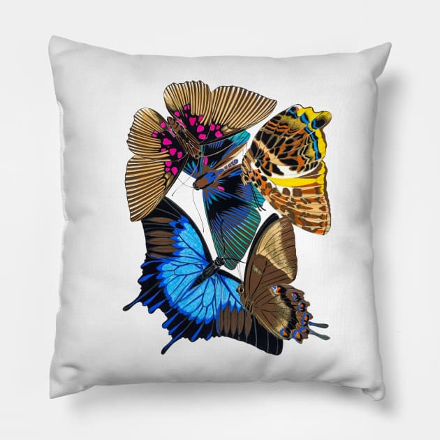 Butterflies Watercolor #12 Pillow by olemanner