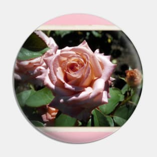 Pale Pink Rose Garden Pin