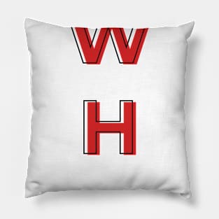 Find Your WHY Pillow