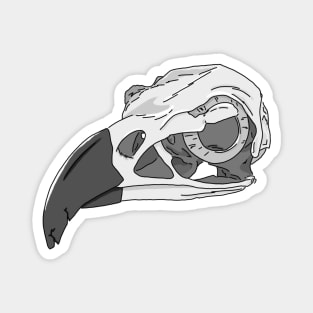 Harpy Eagle Skull Magnet