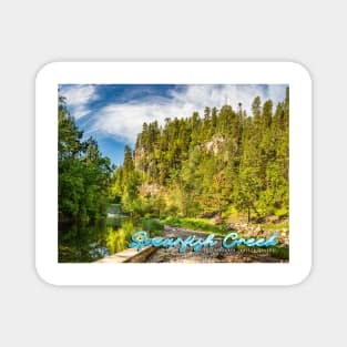 Spearfish Creek in the Black Hills Magnet