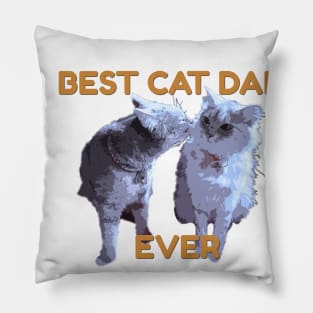 Best Cat dad Pillow