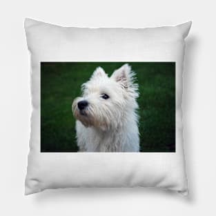 Westie Pillow