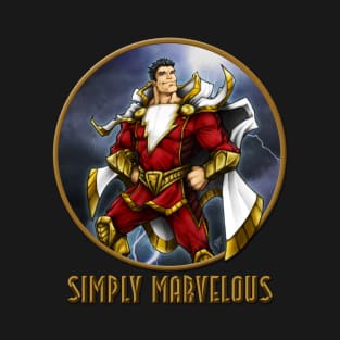 SIMPLY MARVELOUS! T-Shirt