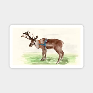 reindeer Magnet