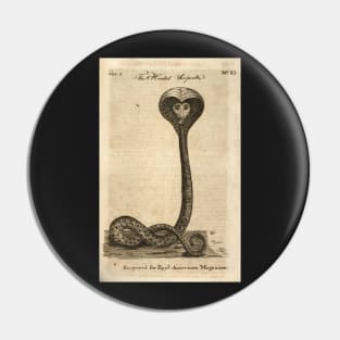 hooded serpent 1774 - Paul Revere Pin