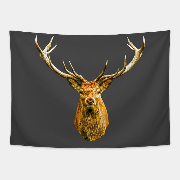 Red Deer Stag Tapestry by dalyndigaital2@gmail.com