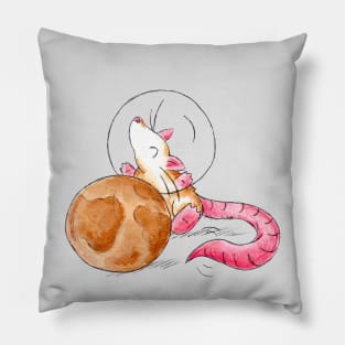 Lunar Cheese Wheel Pillow