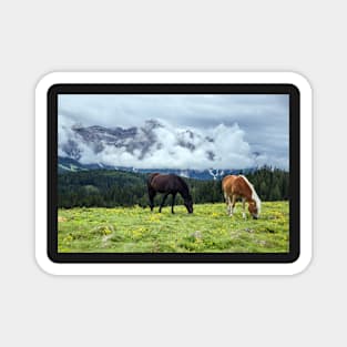 Horses in the Mountain Magnet