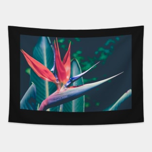 Bird of Paradise Tapestry