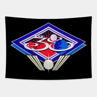 Black Panther Art - NASA Space Badge 81 Tapestry