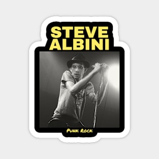 Steve Albini Magnet