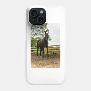 Sam the  horse Phone Case