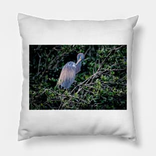 Dreamy Heron Pillow