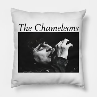 The Chameleons Band 1 Pillow