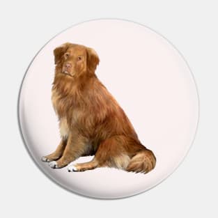 Nova Scotia Duck Tolling Retriever - just the dog Pin