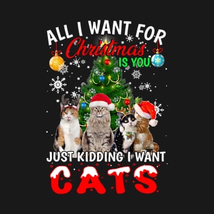 Cute cat xmas T-Shirt