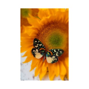 Iridescent Butterfly On Sunflower T-Shirt