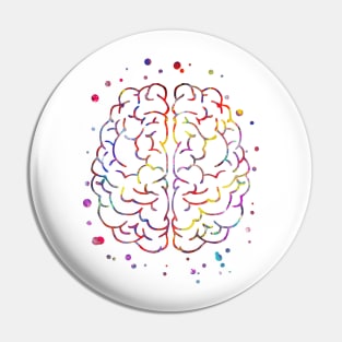 Brain anatomy Pin